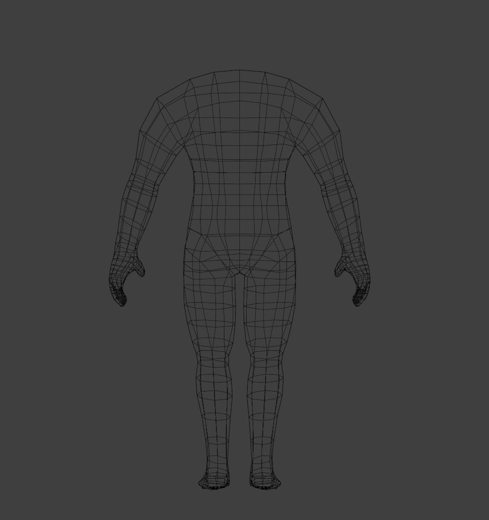 Body mesh wireframe